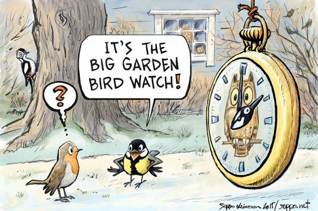 Seppo-normal_big_garden_bird_watch_e